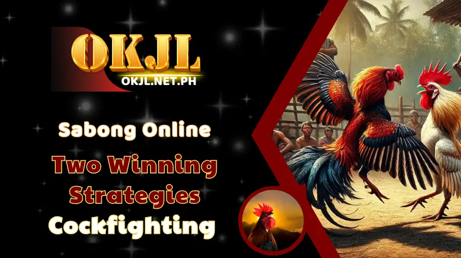 Two Winning Strategies Cockfighting (1)