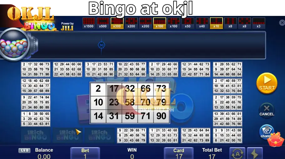 image Bingo at okjl